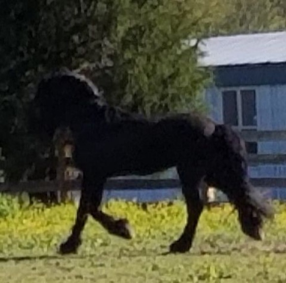 Meet your Posher, Donna - Picture 1 of 1